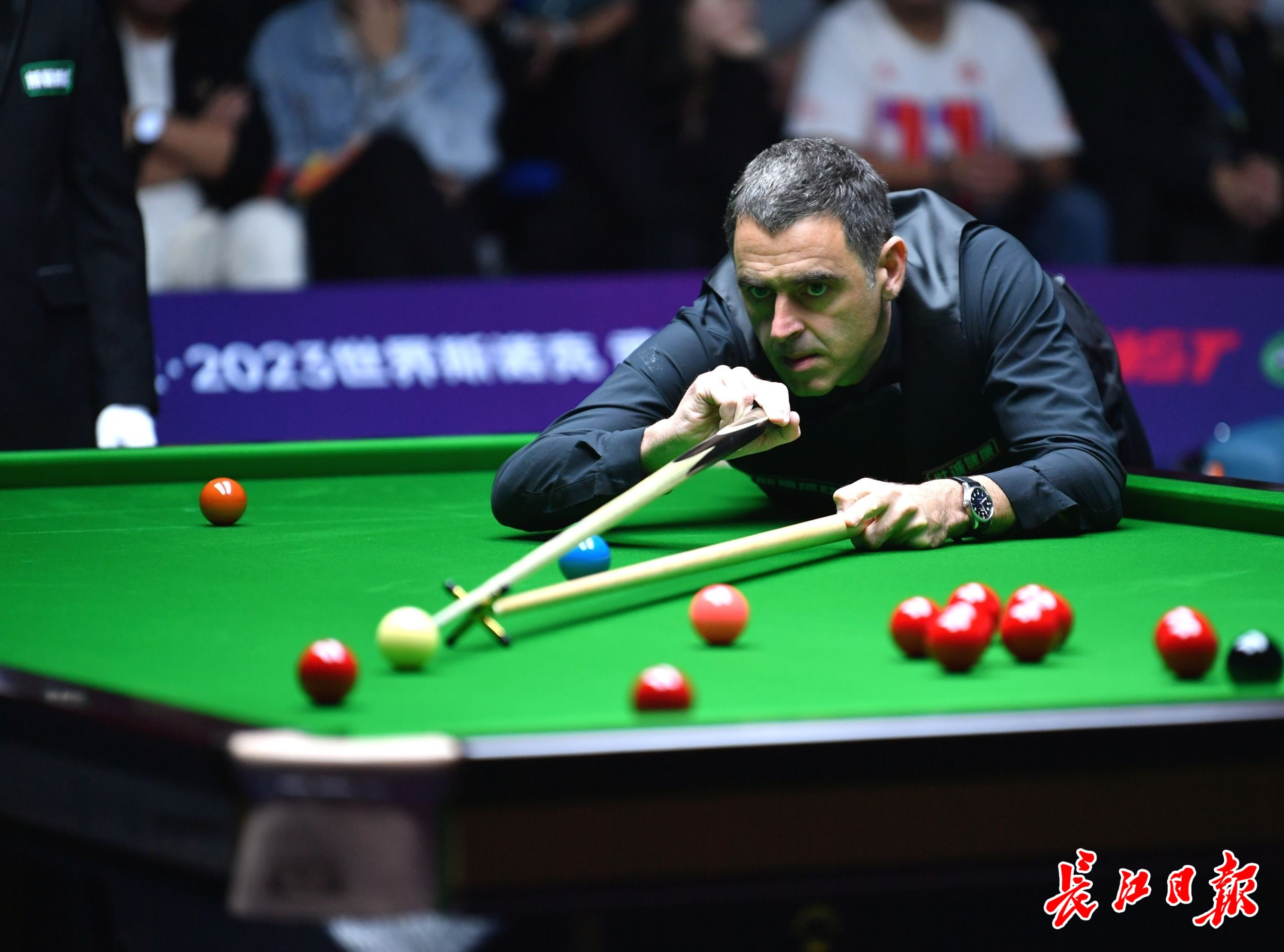 这种与众不 这种与众不